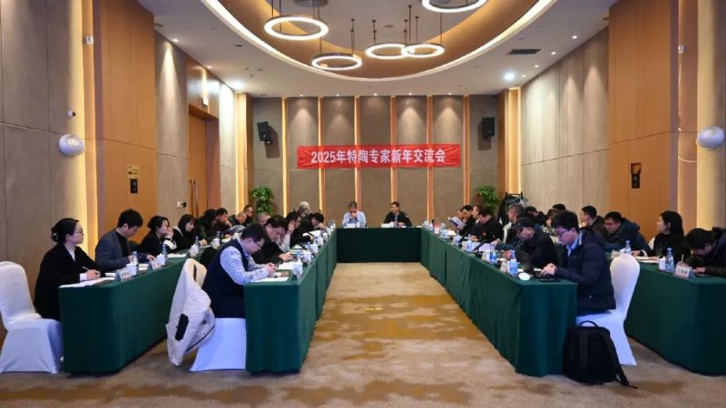 開(kāi)年聚力 共謀新篇 | 2025年特陶專家新年交流會(huì)圓滿舉辦